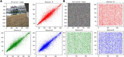 Image encryption scheme based on a controlled zigzag transform and bit-level encryption under the quantum walk